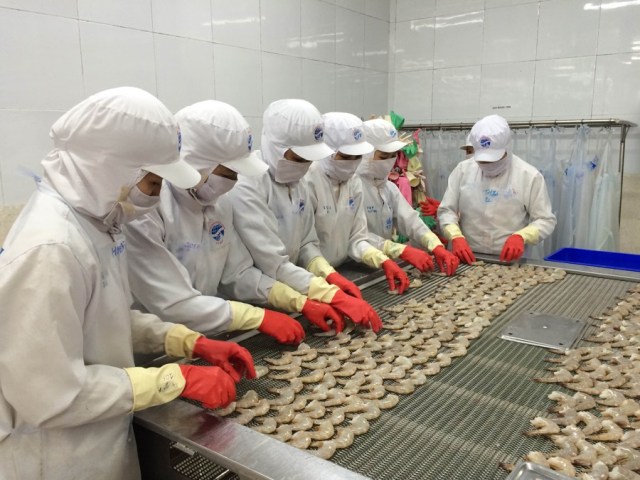 Nguồn cung yếu ảnh hưởng đến xuất khẩu tôm Việt Nam