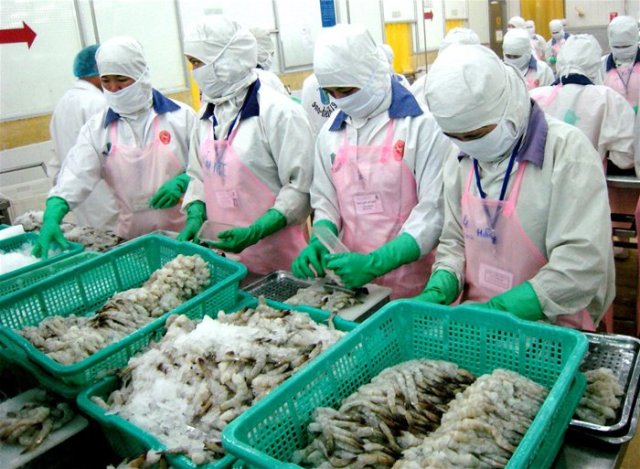 Đề nghị Chính phủ Úc sớm bãi bỏ lệnh tạm ngừng nhập khẩu tôm và thịt tôm chưa nấu chín
