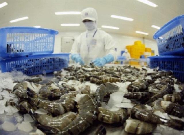 Úc hủy lệnh dừng nhập khẩu mặt hàng tôm tươi tẩm ướp