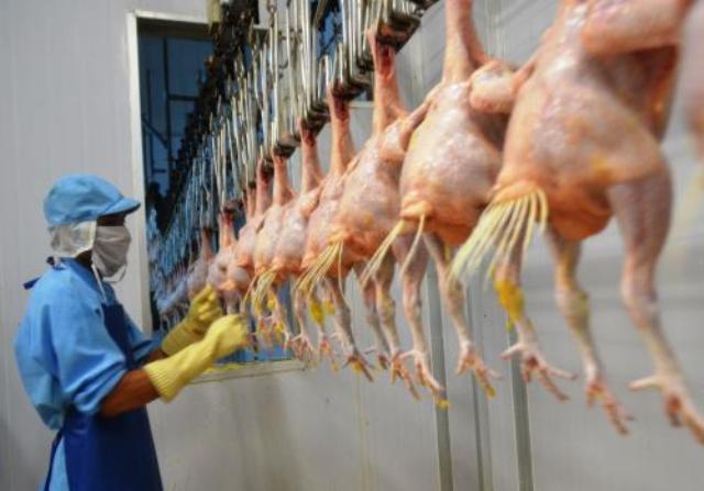 Thịt gia cầm Việt Nam lần đầu tiên được xuất khẩu sang Nhật Bản