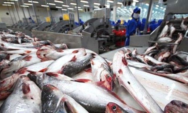 EU là thị trường xuất khẩu thủy sản số 1 của Việt Nam