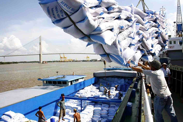 Xuất khẩu gạo Việt: Khi 2 "ông lớn" chặn cửa