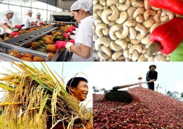 Ngành Nông nghiệp xuất siêu 7,45 tỷ USD trong 11 tháng