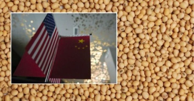 Trung Quốc ngừng mua nông sản Mỹ để đáp trả thuế quan