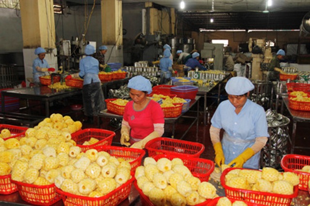 Lạc quan rau quả Việt xuất khẩu