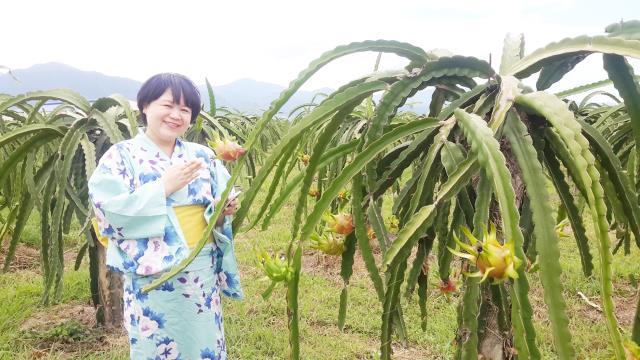 Thị trường Nhật Bản rộng mở cho nông sản Việt Nam
