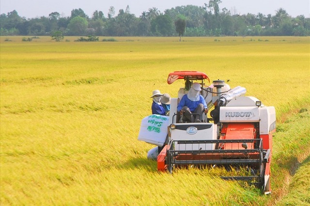 XUẤT KHẨU NĂM 2021: Việt Nam đặt mục tiêu cung cấp nông sản cho thế giới