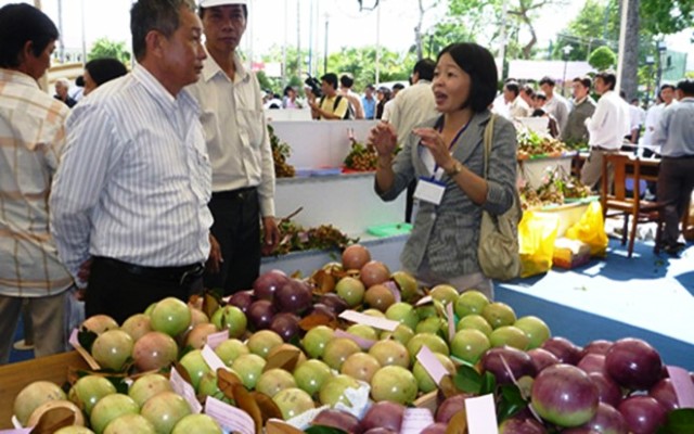 Hoa Kỳ chính thức nhập khẩu trái vú sữa của Việt Nam