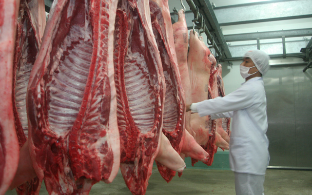 Sẽ có 10.000 tấn thịt lợn sạch của Việt Nam xuất khẩu sang Hà Lan