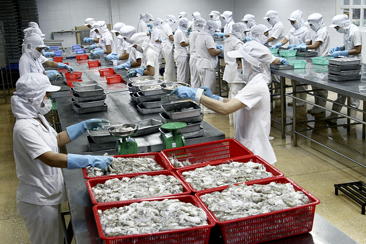 Xuất khẩu mực và bạch tuộc sang Trung Quốc tăng trưởng mạnh