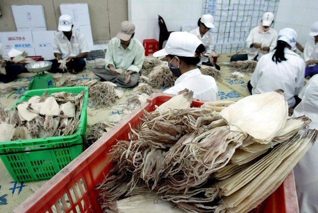 38 thị trường nhập khẩu mực, bạch tuộc của Việt Nam