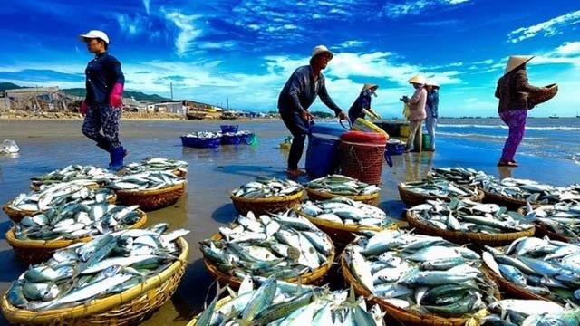 EU sang Việt Nam kiểm tra việc khắc phục “thẻ vàng”