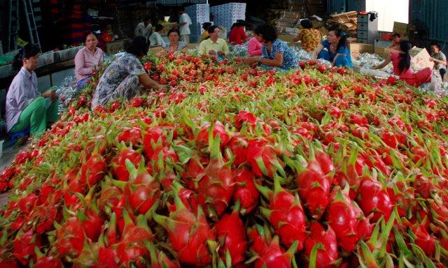 Trái cây Việt vẫn "lép vế" trên thị trường ngoại