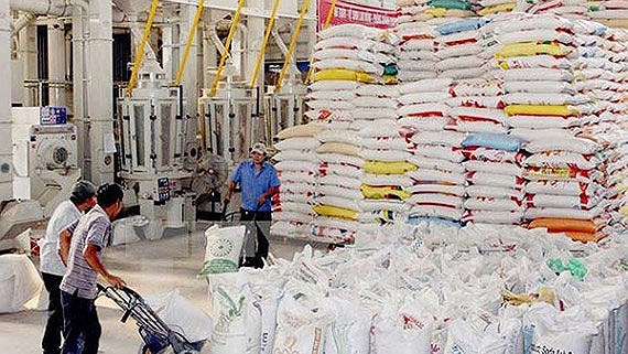 Giá gạo Việt Nam xuất khẩu vượt Thái Lan, Ấn Độ