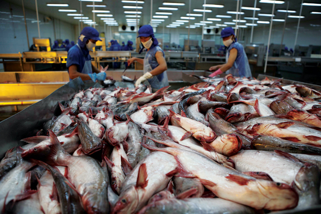 Cá da trơn Việt Nam sắp “rộng đường” vào Mỹ