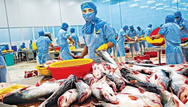 Nhiều doanh nghiệp xuất khẩu cá tra, basa của Việt Nam không bị áp thuế chống bán phá giá của Hoa Kỳ