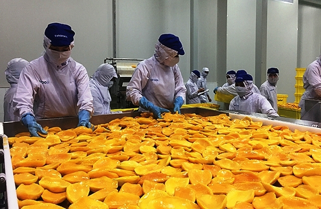 Nga tăng nhập khẩu rau quả chế biến từ thị trường Việt Nam