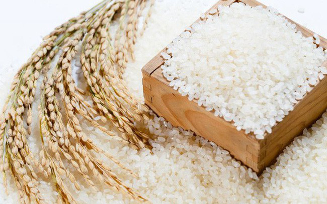 5 tháng đầu năm 2018, lúa gạo “được mùa, được giá”