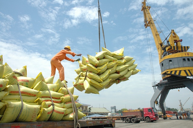 Algeria- thị trường tiềm năng cho xuất khẩu gạo Việt