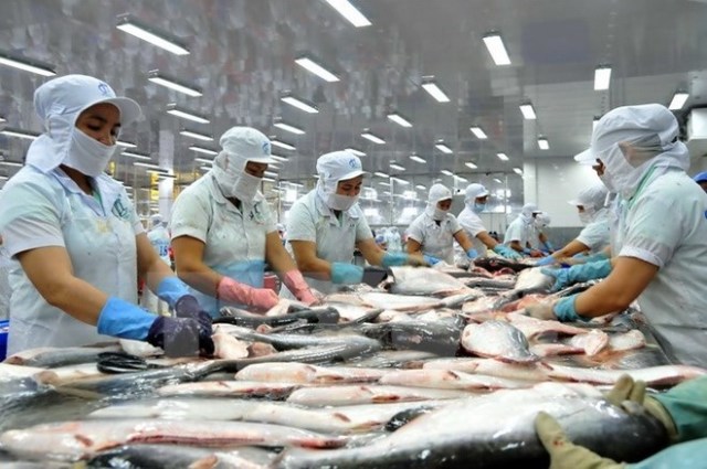 Thêm 12 cơ sở chế biến cá da trơn được xuất khẩu sang Hoa Kỳ