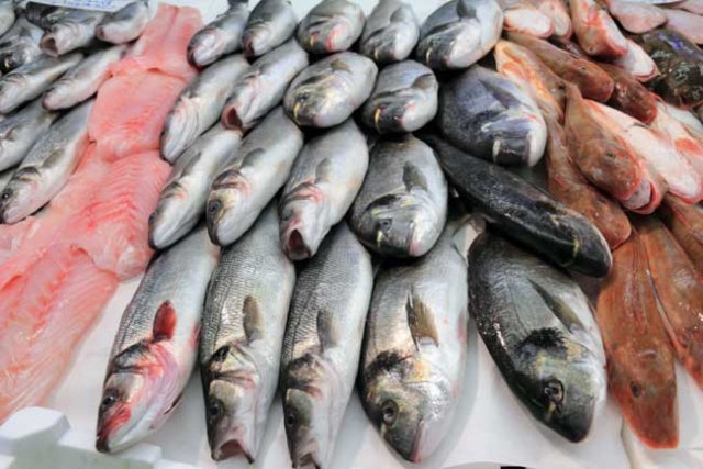 Châu Âu bắt buộc ghi nguồn gốc các loại cá trên thị trường