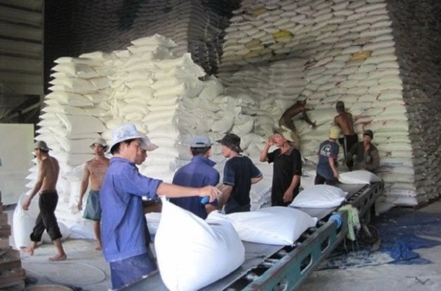 EVFTA: Gạo Việt Nam hưởng ưu đãi thuế theo hạn ngạch