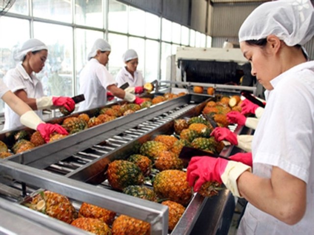 JICA sẽ hỗ trợ Việt Nam xuất khẩu nông sản