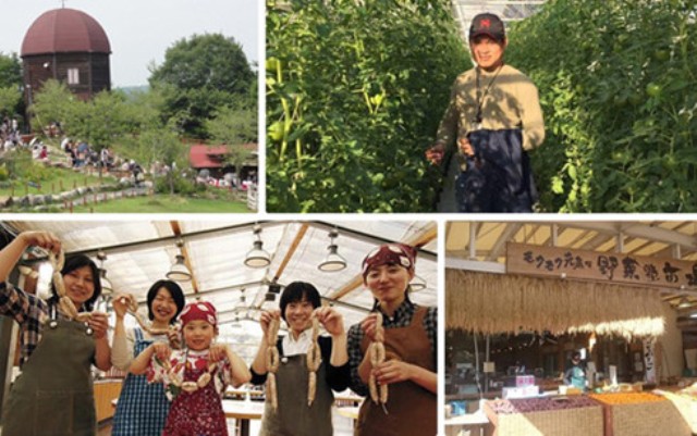 Mô hình kinh doanh nông nghiệp trọn chuỗi 'từ vườn đến bàn' của Nhật