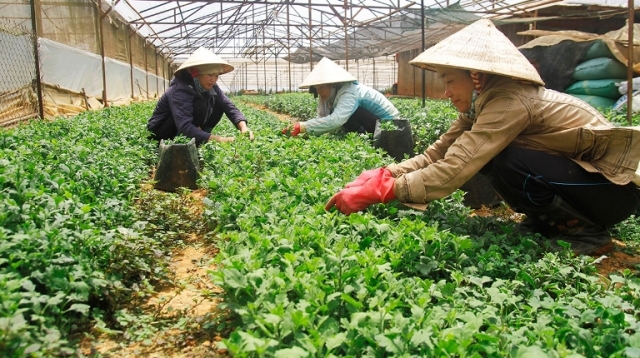 Lào bãi bỏ cấm nhập khẩu 15 mặt hàng từ Việt Nam