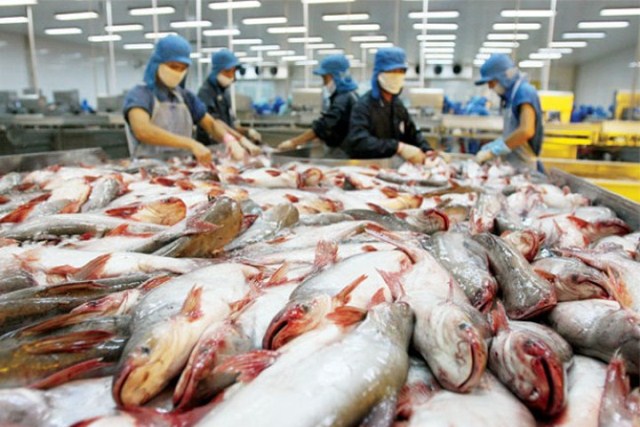 Mỹ cam kết không làm gián đoạn xuất khẩu cá tra, ba sa Việt Nam