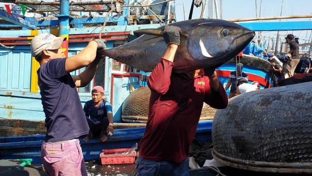 Xuất khẩu hải sản tăng khoảng 10% trong năm 2019