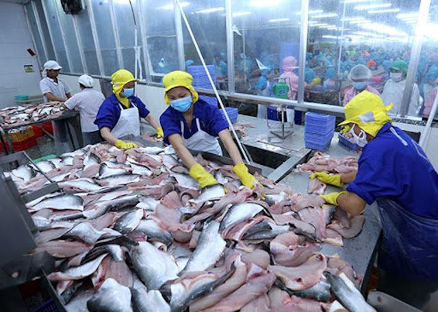 Xuất khẩu cá tra sang Asean sẽ hồi phục sau Covid-19