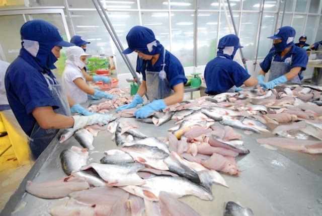 Vasep dự báo xuất khẩu cá tra khó thoát tăng trưởng âm