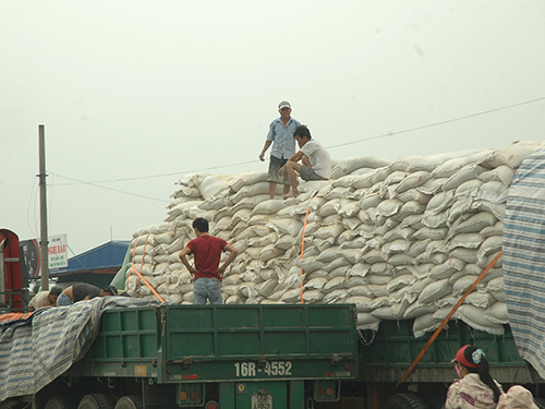 Xuất khẩu gạo sang châu Phi: Sẽ phục hồi trong năm 2015