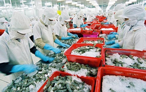 Xuất khẩu thủy sản Việt Nam: “Gánh vàng đổ ra biển”?