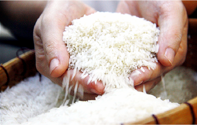 Viết tiếp bản hùng ca hạt gạo Việt