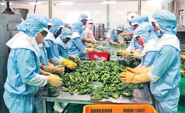 Việt Nam có 7 mặt hàng nông lâm thủy sản xuất khẩu đạt trên 2 tỷ USD