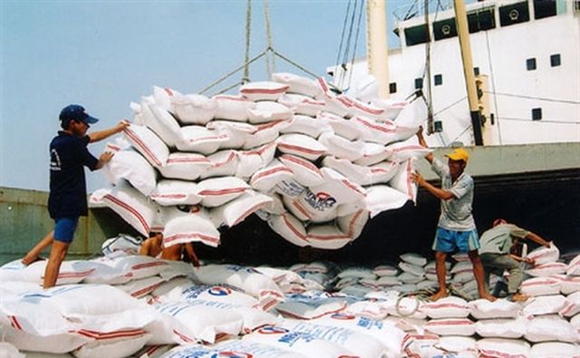 Xuất khẩu gạo đạt gần 1 tỉ USD