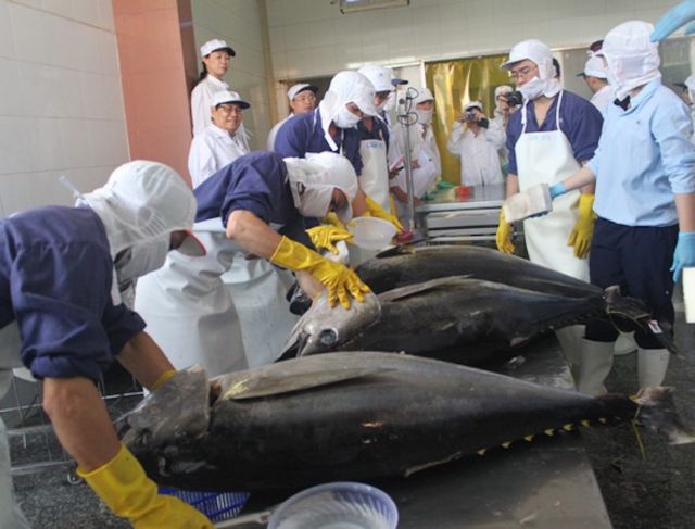 Dự báo xuất khẩu cá ngừ sẽ hết 'chìm' trong quý III