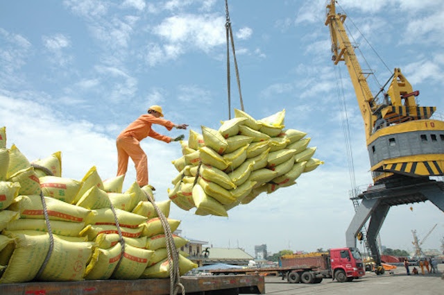 Xuất khẩu gạo Việt Nam phải cạnh tranh gay gắt với gạo Thái, Ấn Độ