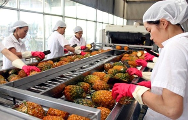 Xuất khẩu rau quả sang Thái Lan tăng hơn 140%