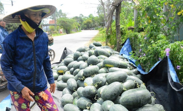 Giá kỷ lục, trái cây Việt chưa hết lo