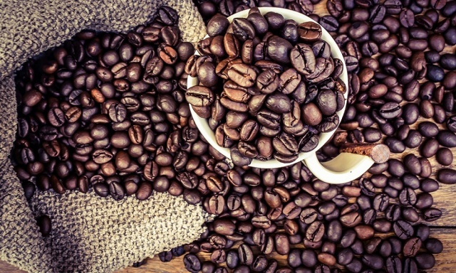 Giá cà phê hôm nay 19/9: Xuống dưới 32.000 đồng/kg