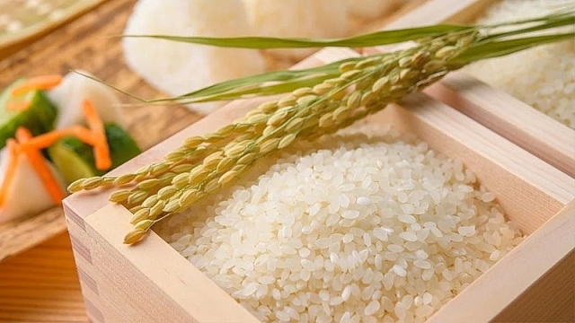 Giá lúa gạo hôm nay 23/3: Giá lúa Đài thơm 8 tăng 200 đồng/kg