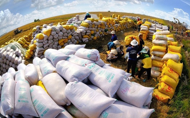 Giá lúa gạo hôm nay 25/11: Nhu cầu cao, giá gạo tiếp tục tăng
