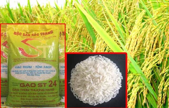 Loại gạo Việt Nam vừa đạt danh hiệu ngon nhất thế giới có giá bao nhiêu tiền/kg?