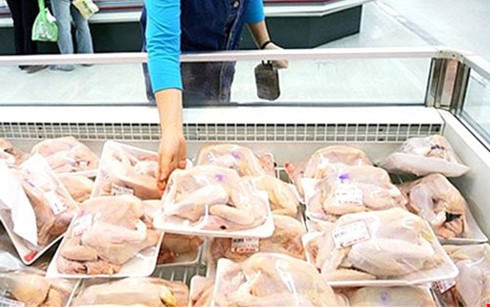 Đùi gà Mỹ giá siêu rẻ chỉ 7.000 đồng/kg, gà Việt khốn đốn