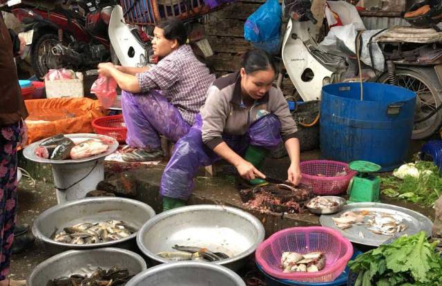 Dân sành Hà thành: Vét bong bóng cá khắp chợ về nhậu