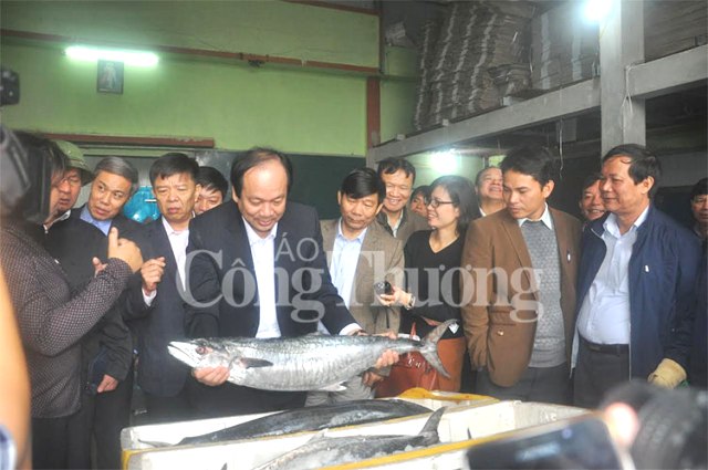 Thứ trưởng Bộ Công Thương Đỗ Thắng Hải: 'Cần tuyên truyền chính xác về thủy sản an toàn tại 4 tỉnh miền Trung'