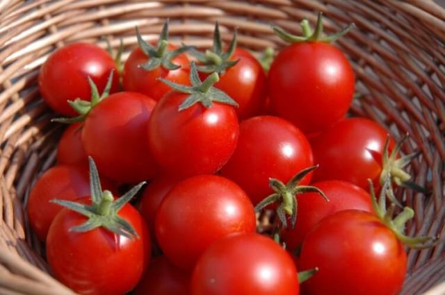 Cách đơn giản để bảo quản cà chua chín sau khi được "giải cứu"